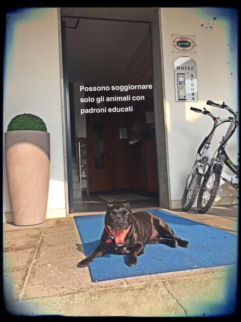 Hotel Aurora Treviso Zewnętrze zdjęcie